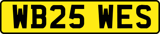 WB25WES