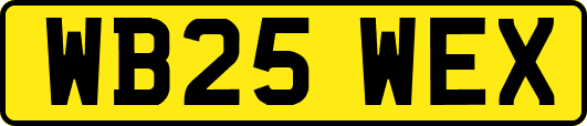 WB25WEX