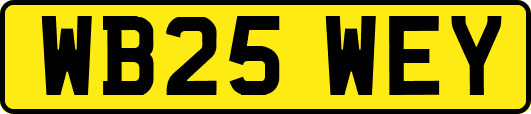 WB25WEY