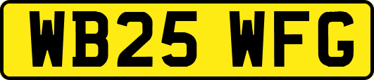 WB25WFG
