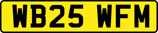 WB25WFM