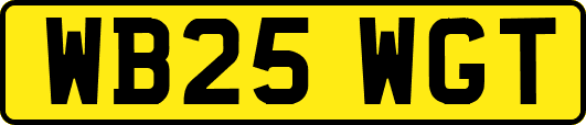 WB25WGT