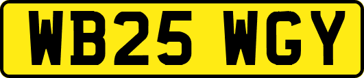 WB25WGY