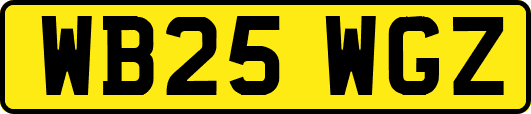 WB25WGZ