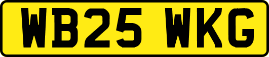 WB25WKG