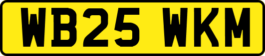 WB25WKM