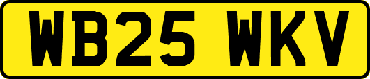 WB25WKV