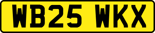 WB25WKX
