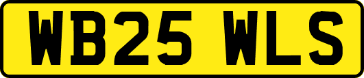 WB25WLS