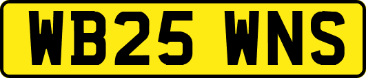 WB25WNS