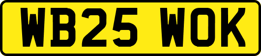 WB25WOK