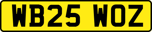WB25WOZ