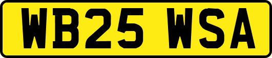 WB25WSA