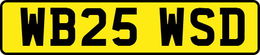 WB25WSD