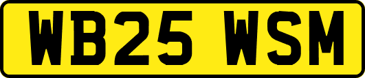 WB25WSM