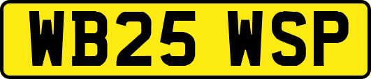 WB25WSP