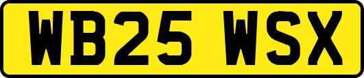 WB25WSX
