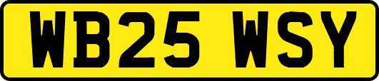 WB25WSY