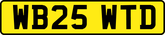 WB25WTD