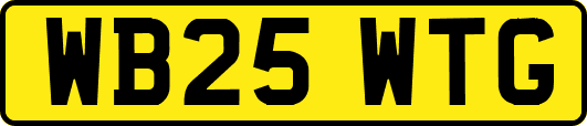 WB25WTG