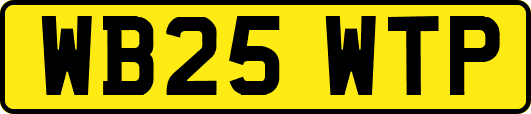 WB25WTP