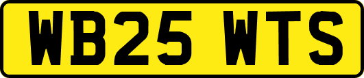 WB25WTS