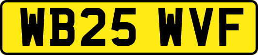 WB25WVF