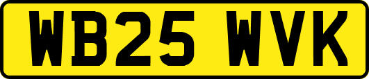 WB25WVK