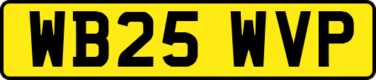 WB25WVP