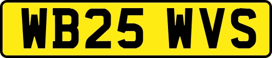 WB25WVS