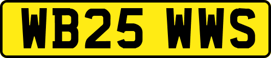 WB25WWS