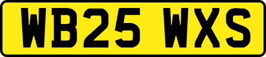 WB25WXS