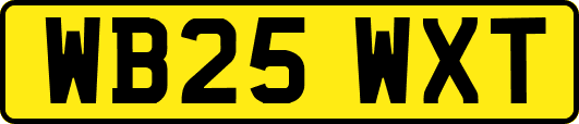 WB25WXT