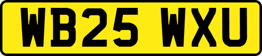 WB25WXU