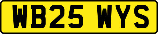 WB25WYS