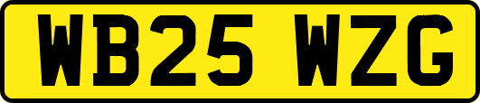 WB25WZG