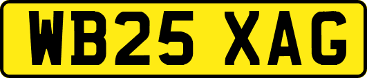 WB25XAG