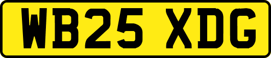 WB25XDG
