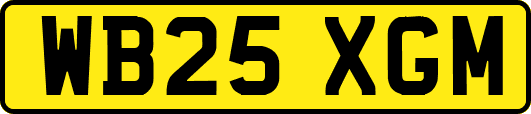 WB25XGM
