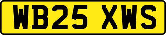 WB25XWS