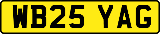 WB25YAG