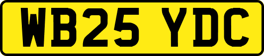 WB25YDC