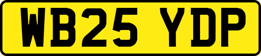 WB25YDP