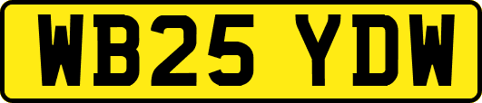 WB25YDW