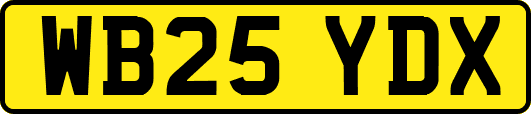 WB25YDX