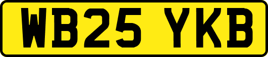 WB25YKB