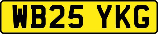 WB25YKG