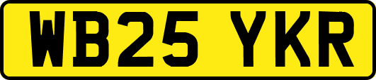 WB25YKR