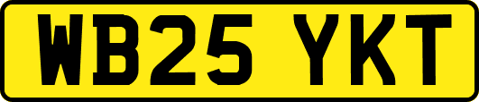 WB25YKT