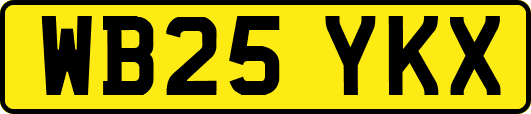 WB25YKX